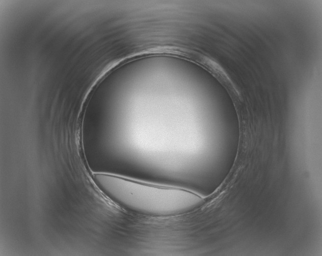 X0000056031284200508190942