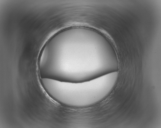 X0000056031287200508190942