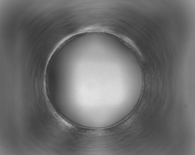 X0000056031288200508190942