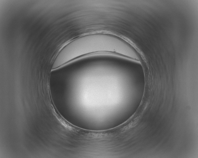 X0000056031289200508190942