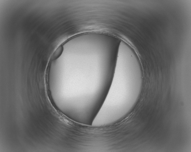 X0000056031291200508190942