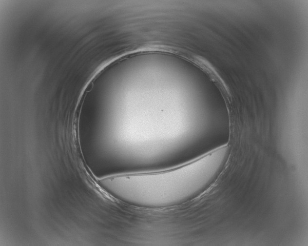 X0000056031292200508190942