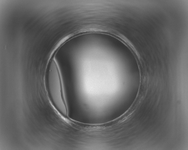X0000056031293200508190942