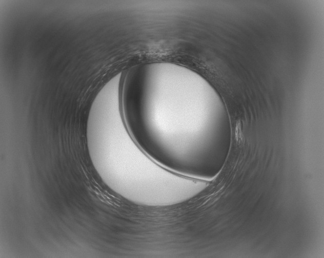 X0000056031299200508190941