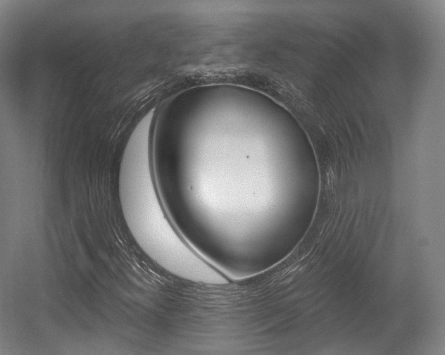 X0000056031300200508190941