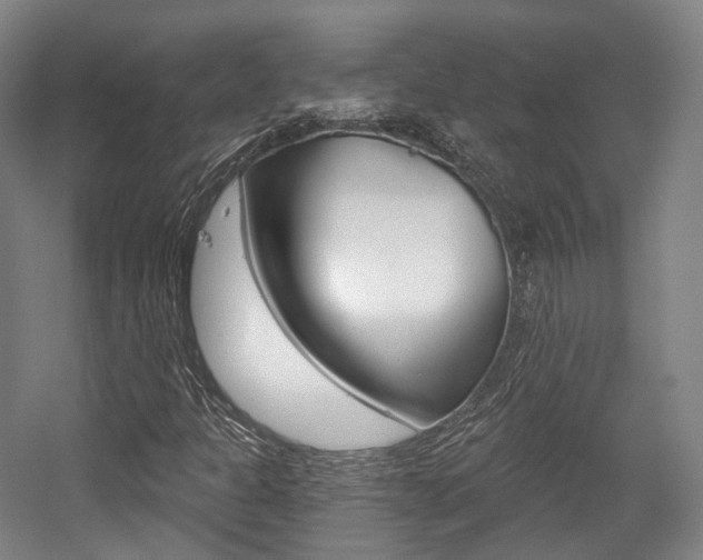 X0000056031301200508190941