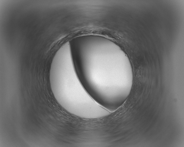 X0000056031302200508190941