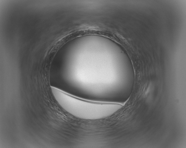 X0000056031303200508190941