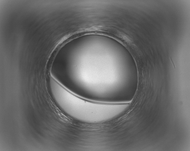 X0000056031308200508190942