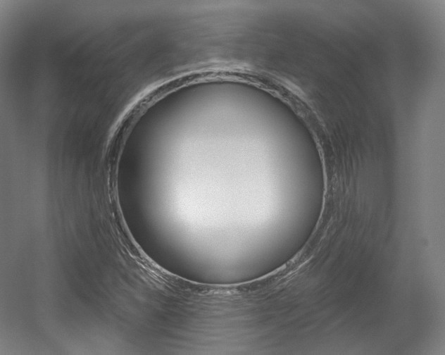 X0000056031310200508190942