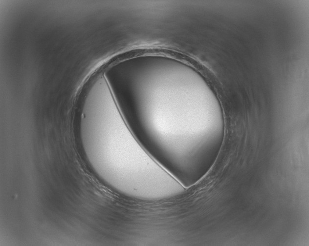 X0000056031311200508190942
