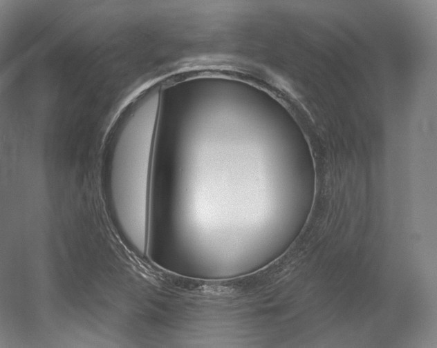X0000056031312200508190942