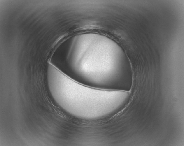 X0000056031313200508190942