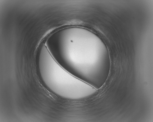 X0000056031315200508190942