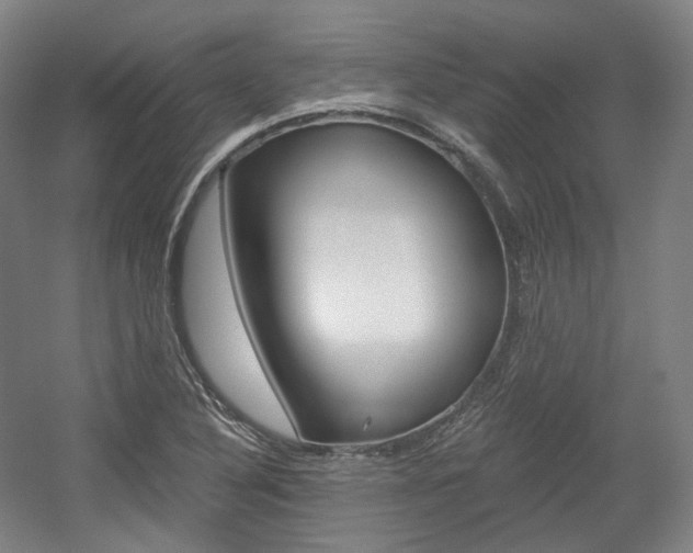 X0000056031316200508190942