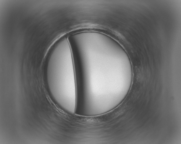 X0000056031318200508190942