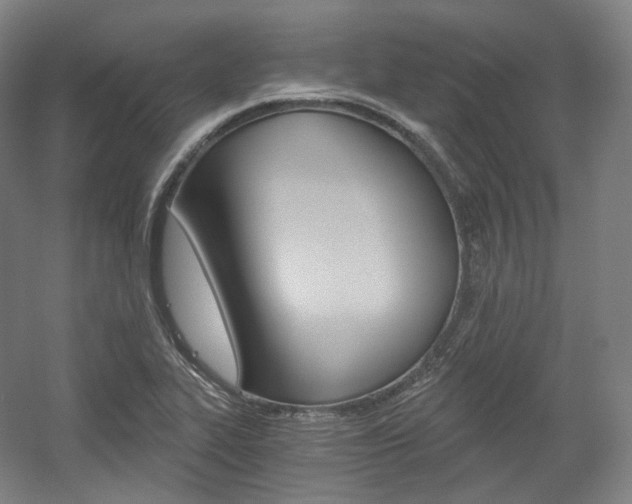 X0000056031319200508190942