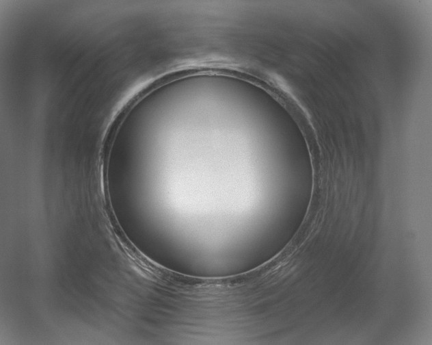 X0000056031320200508190942