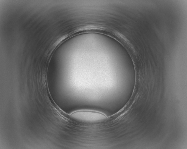 X0000056031321200508190942