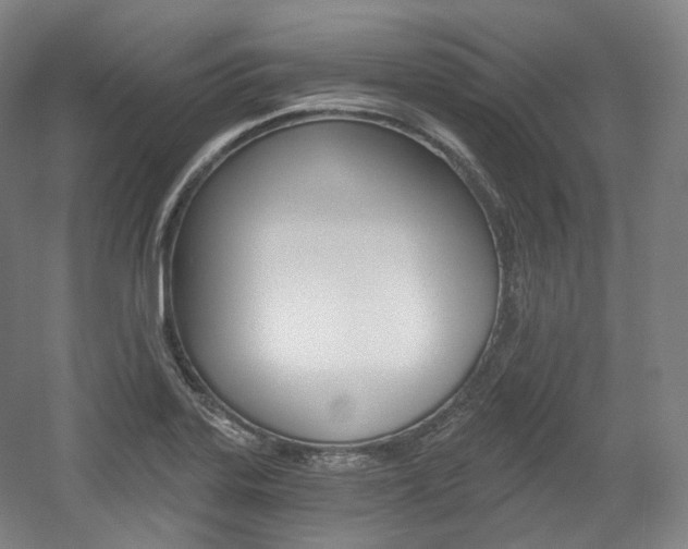 X0000056031323200508190942