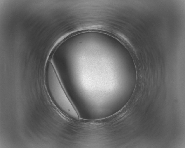 X0000056031324200508190942