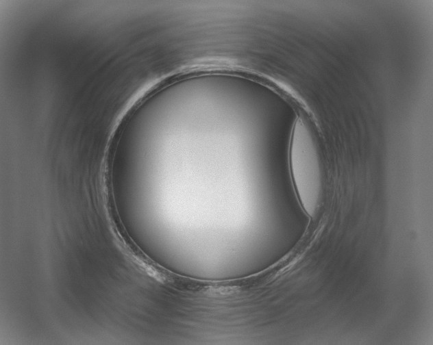 X0000056031325200508190942