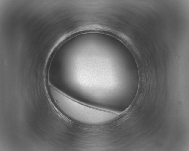 X0000056031326200508190942