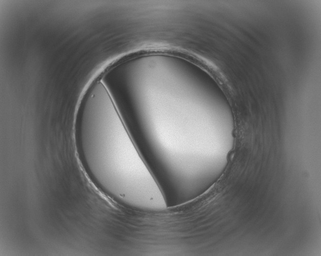 X0000056031327200508190942