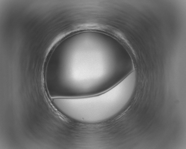 X0000056031328200508190942