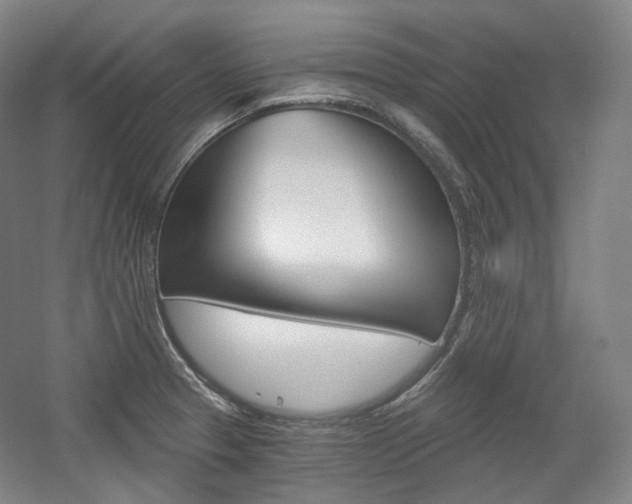 X0000056031329200508190942