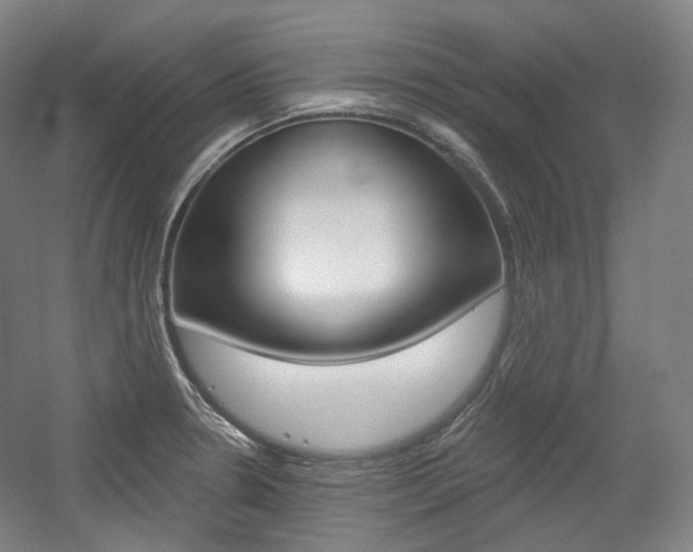 X0000056031330200508190942