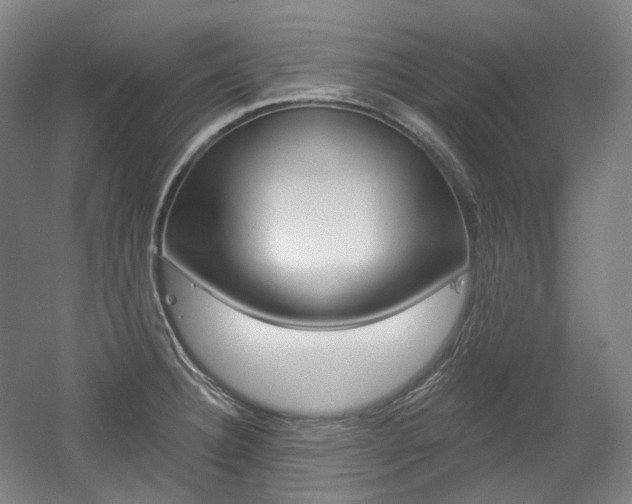 X0000056031332200508190942