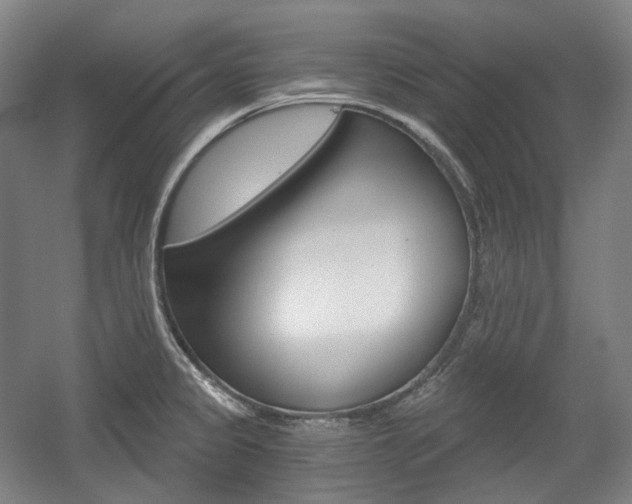 X0000056031333200508190942