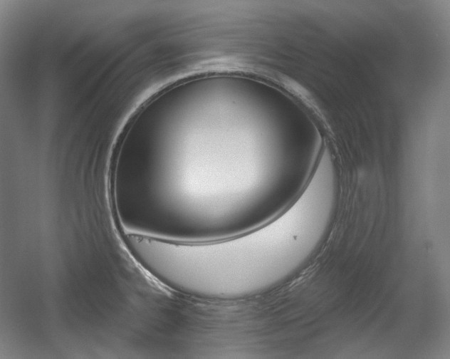 X0000056031334200508190942