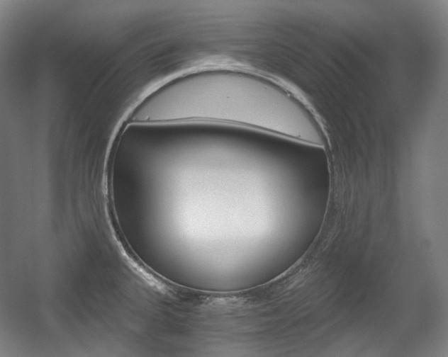 X0000056031335200508190942