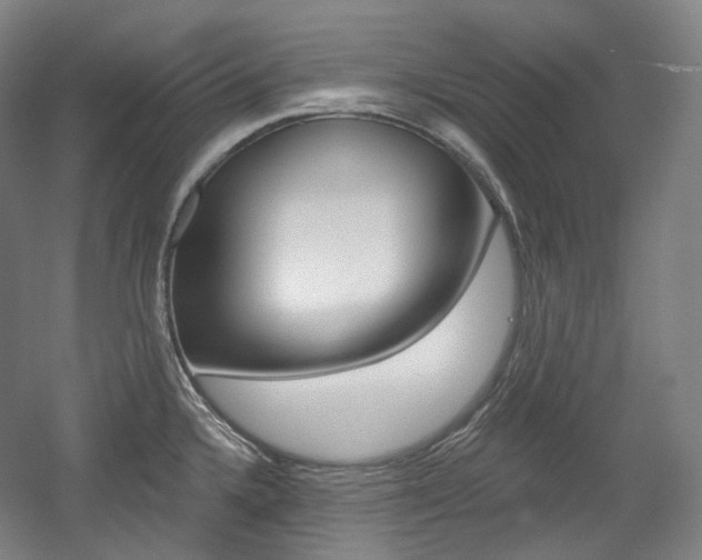 X0000056031336200508190942