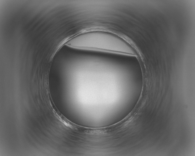 X0000056031337200508190942