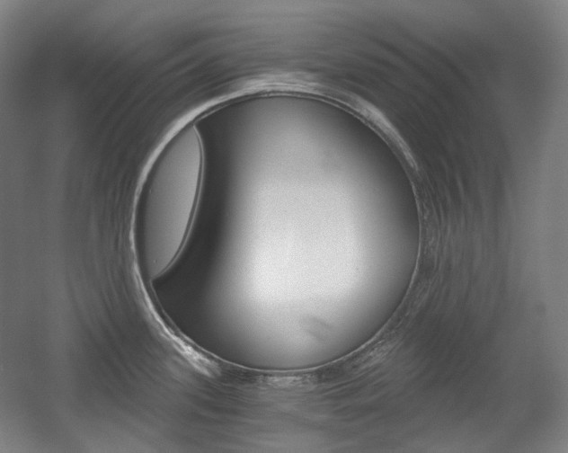 X0000056031339200508190942