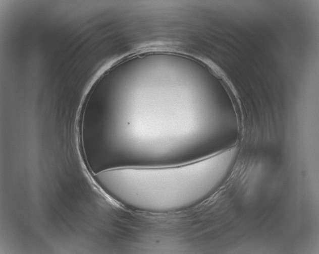 X0000056031341200508190942