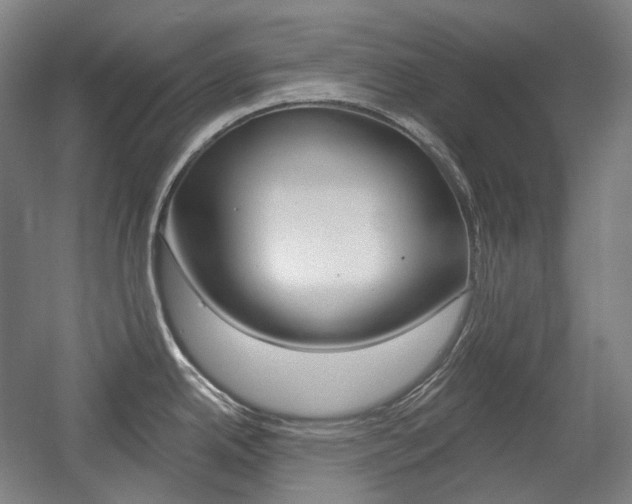 X0000056031342200508190942