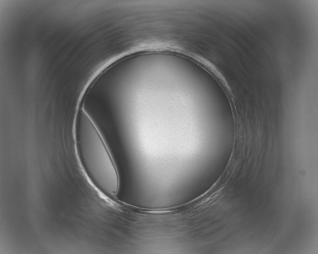 X0000056031343200508190942