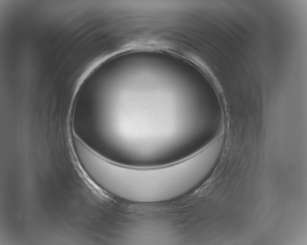 X0000056031344200508190942