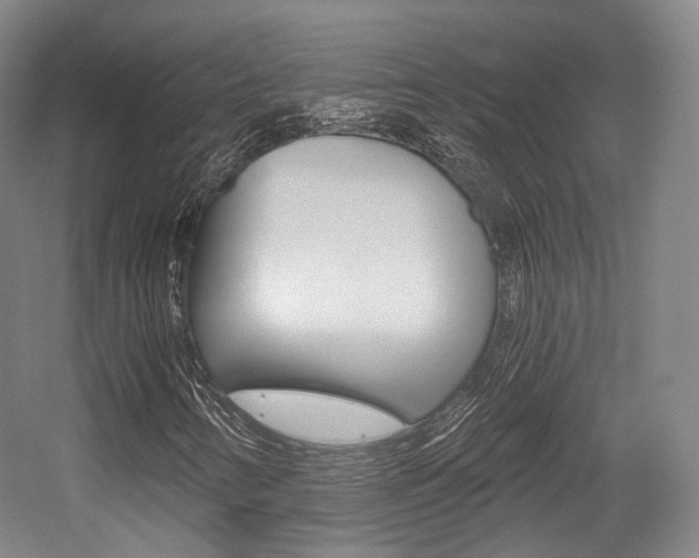 X0000056031346200508190941