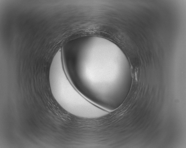 X0000056031347200508190941