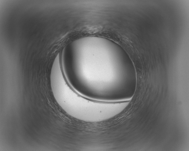 X0000056031349200508190941