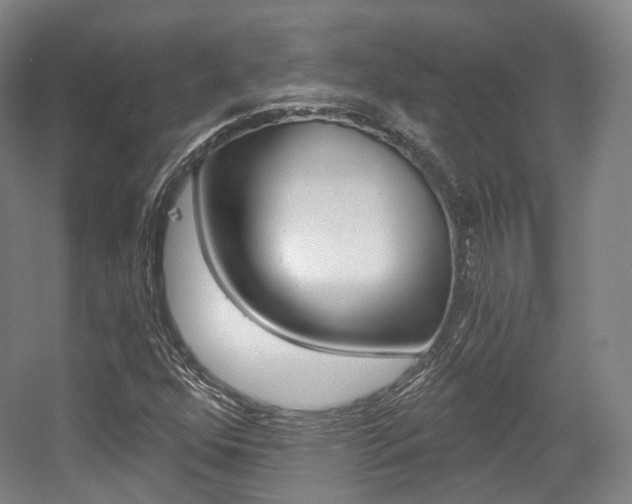 X0000056031352200508190941