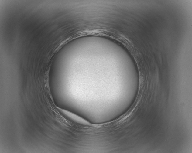 X0000056031353200508190941