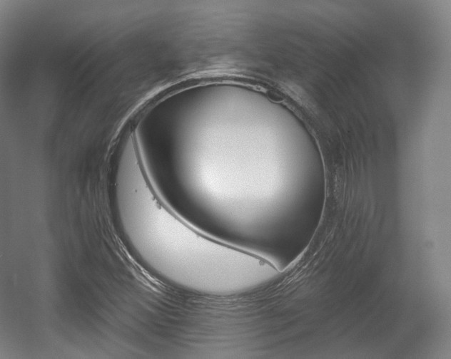 X0000056031356200508190941