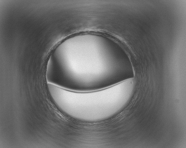 X0000056031359200508190941
