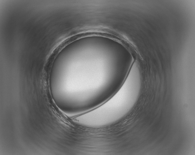 X0000056031360200508190941